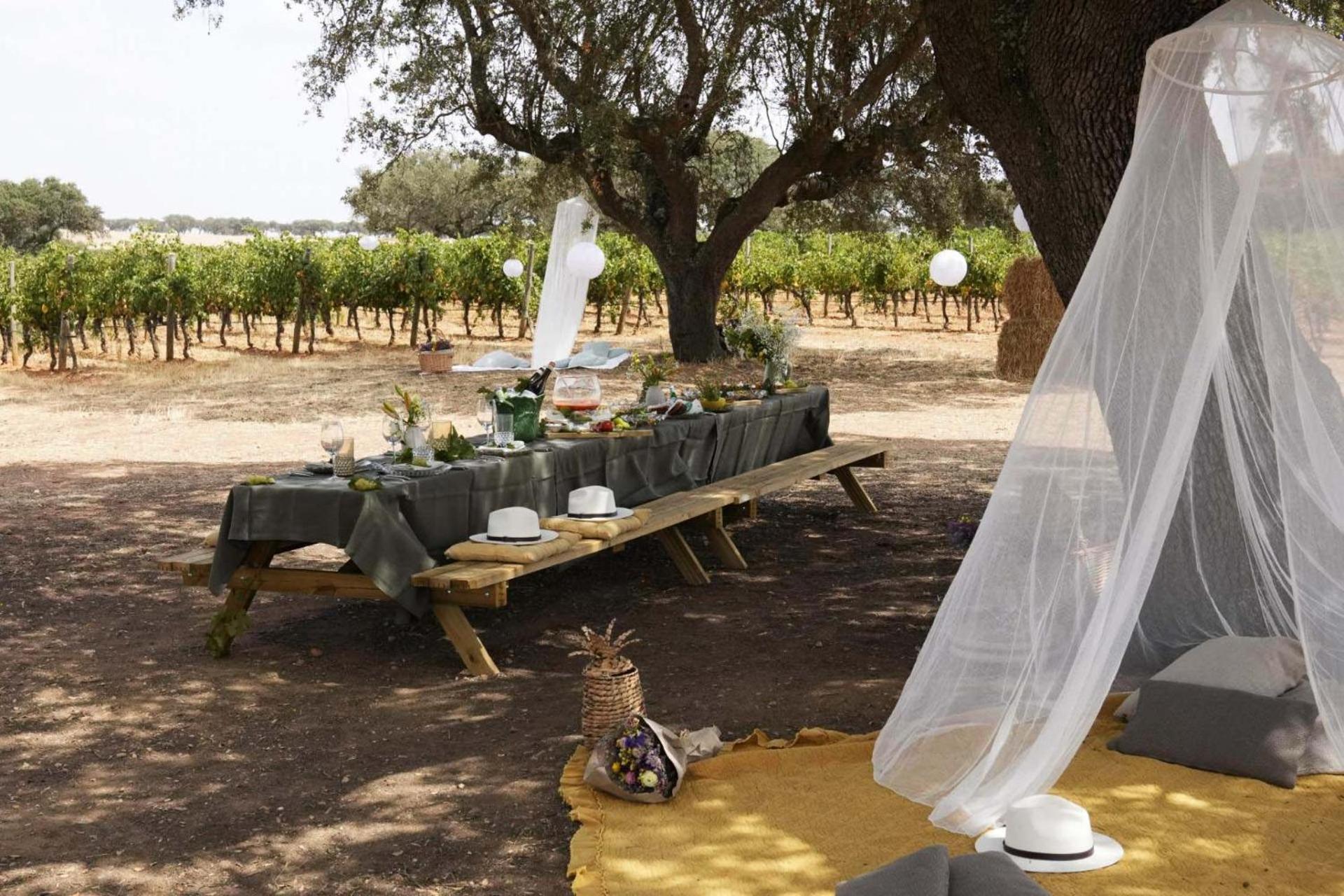 אלברונה Herdade Da Malhadinha Nova - Relais & Chateaux מראה חיצוני תמונה